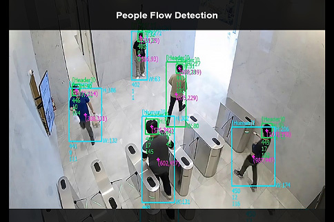 People Flow Detection